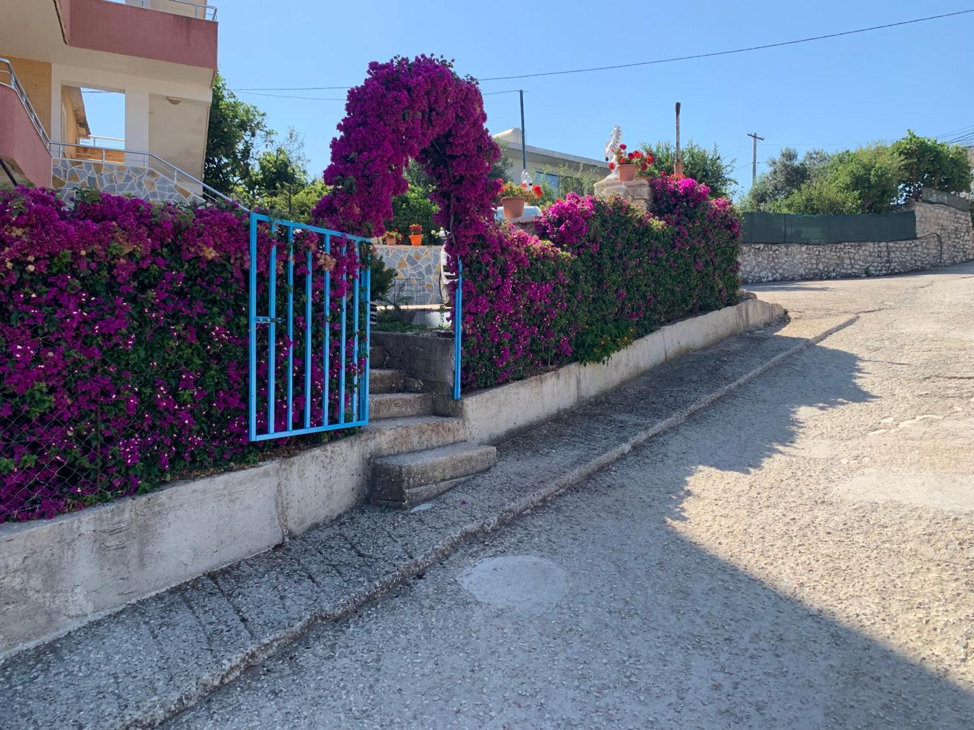 Apartments Vila Ardi ساراندا المظهر الخارجي الصورة